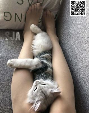 女心理师免费观看完整版电视剧