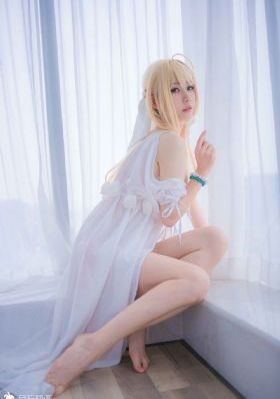 玫瑰之战电视剧免费全集在线播放