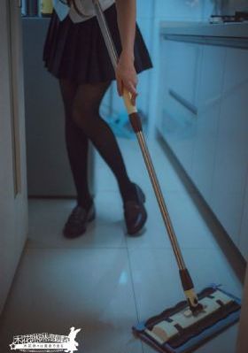 骡子和金子