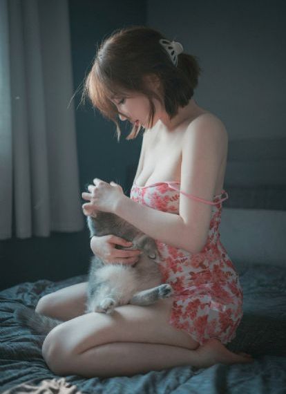 沙海电视剧免费全集