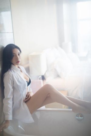 第三人称复仇