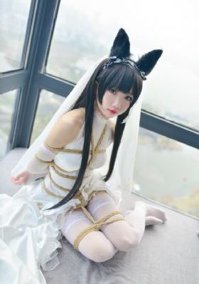 749局电视剧在线观看免费播放